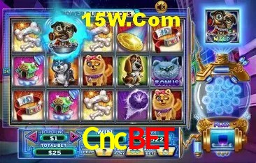 Jogos com bônus e suporte 24h na Cncbet